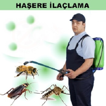 Salıpazarı Böcek İlaçlama